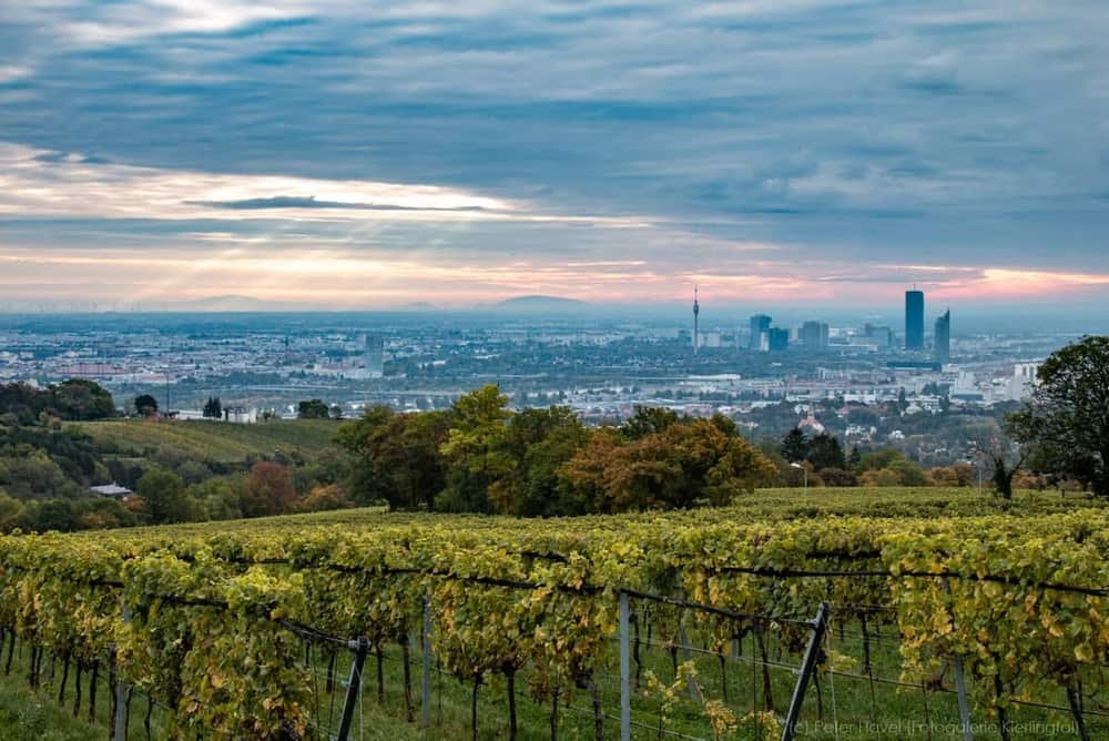 Cobenzl Aussicht