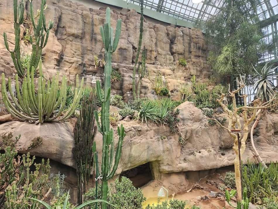 Desert House — 2