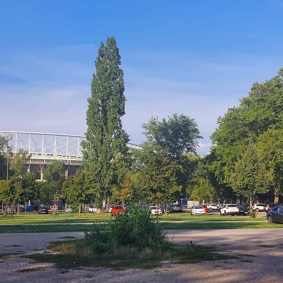 Prater Hauptallee — 2