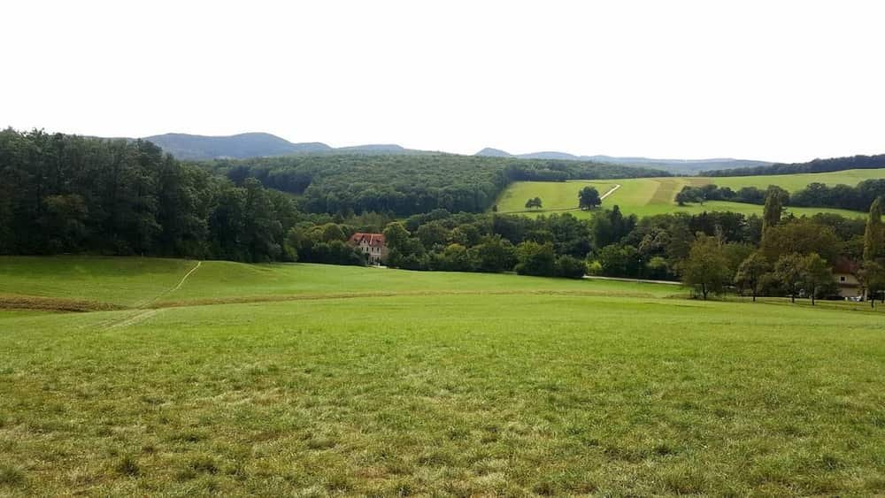Maurerwald
