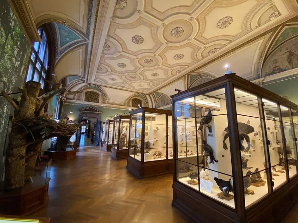 Natural History Museum Vienna — 2