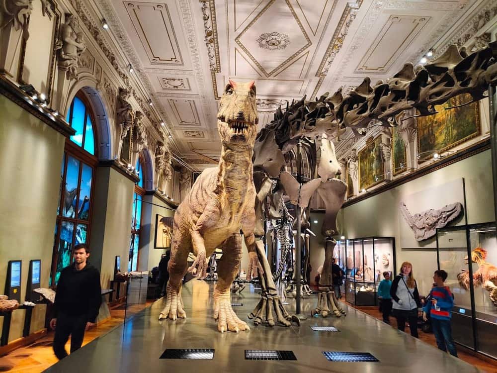 Natural History Museum Vienna — 3