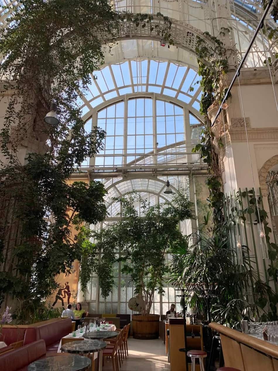Palm House Schönbrunn