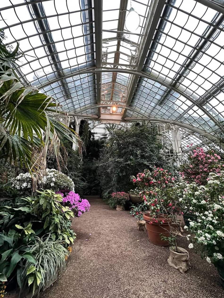 Palm House Schönbrunn — 2