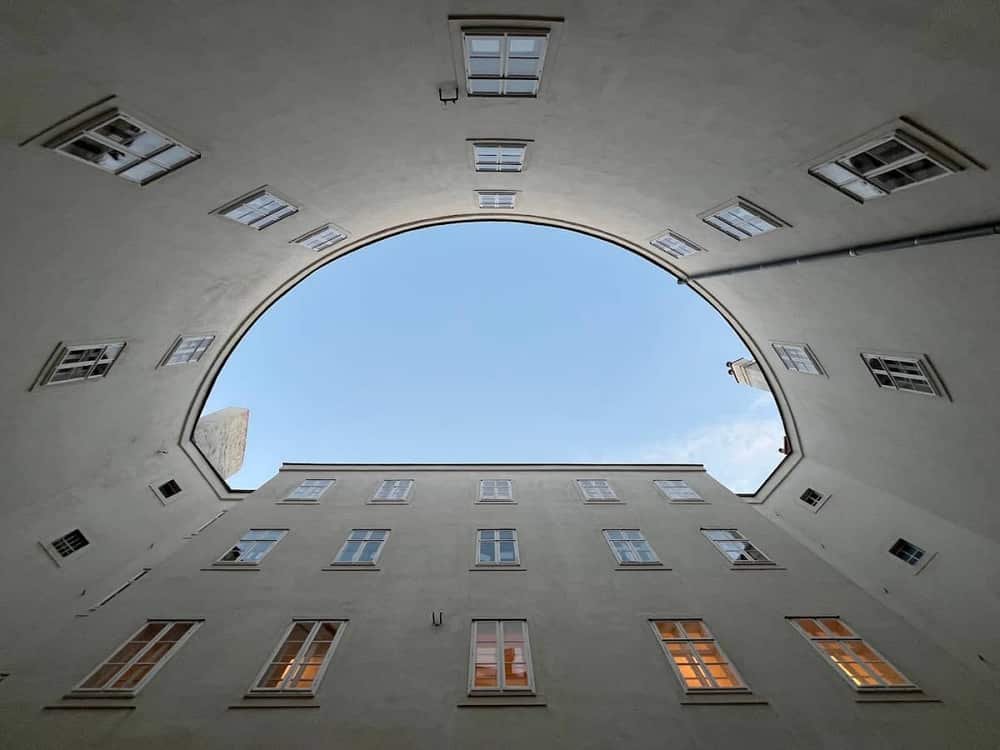 Pathological-anatomical collection in the Narrenturm — 3