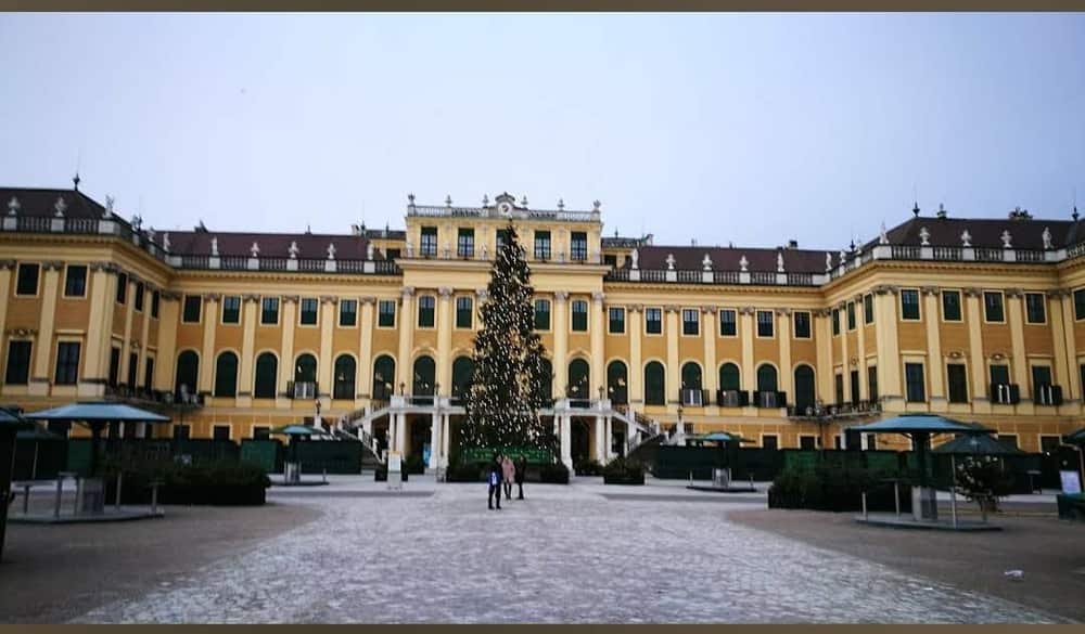 Schönbrunn Palace — 4