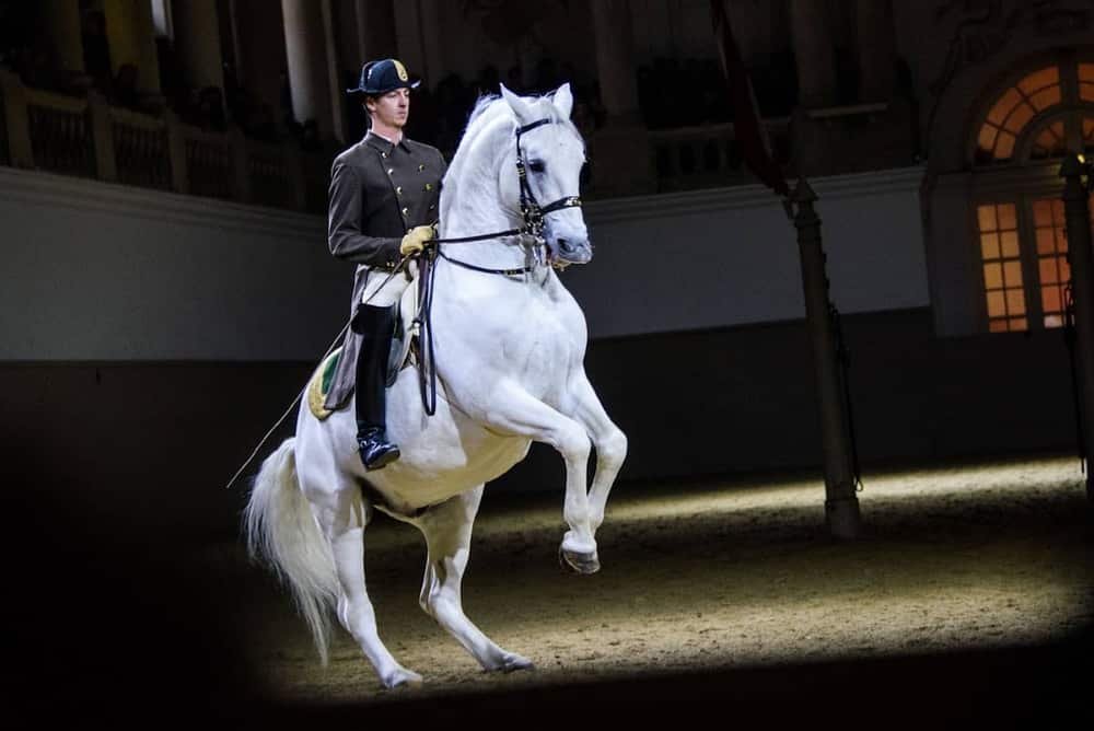 Spanish Riding School — 2