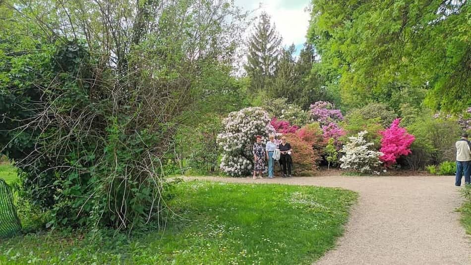 University of Vienna Botanical Garden — 2