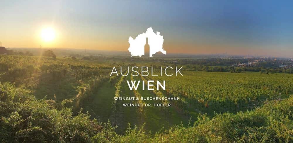 Ausblick.Wien-Weingut Höfler — 3