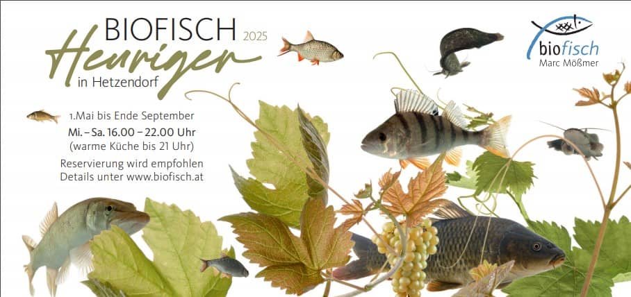 Biofisch-Heuriger in Hetzendorf — 3
