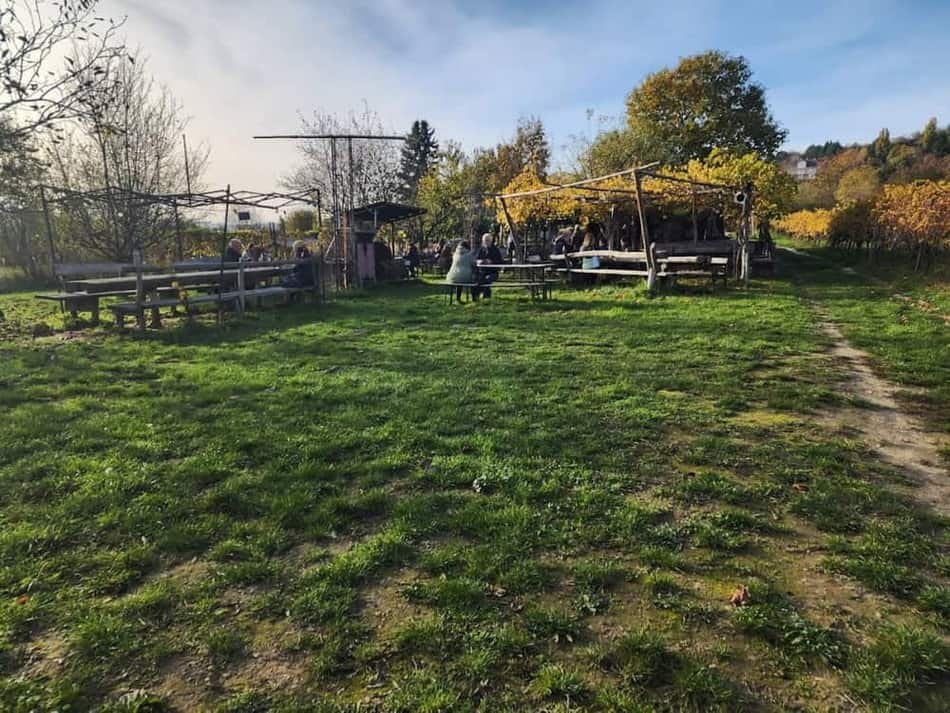 Buschenschank Dreh & Drink — 3