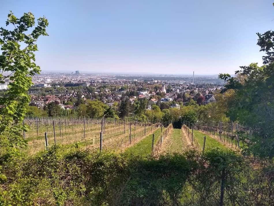 Weinbau Leitner — 2