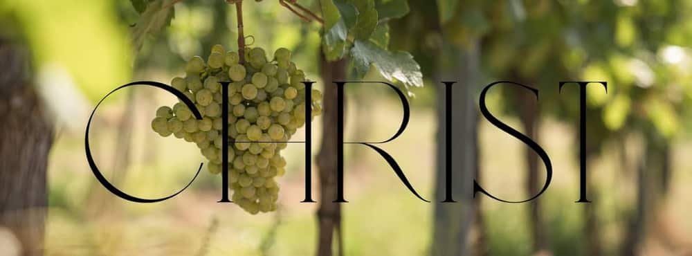 Weingut & Heuriger Christ — 3