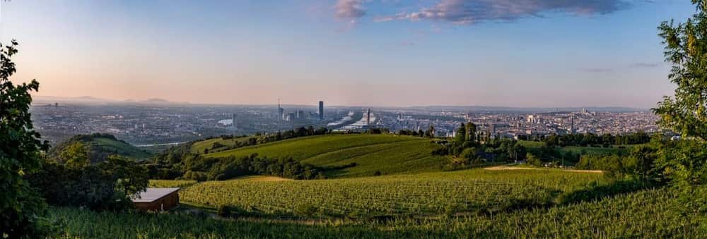 Weingut Wailand — 3
